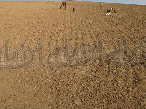 مناطق زراعية صارت قاحلة بعد إهمال الدولة للقطاع الزراعي مناطق زراعية صارت قاحلة بعد إهمال الدولة للقطاع الزراعي