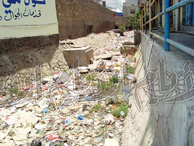 خلف المكتبة الوطنية - كريتر