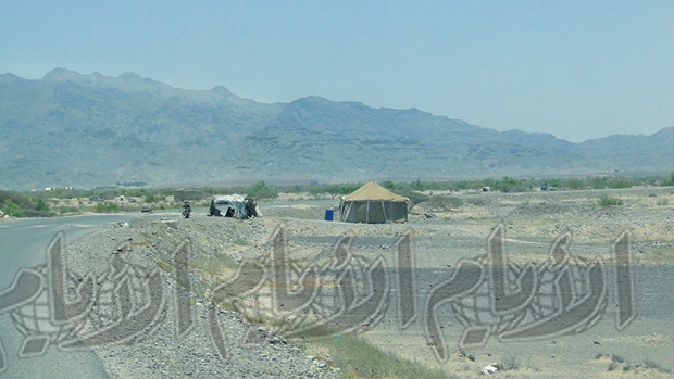 نقطة لأفراد اللجان الشعبية بلحج