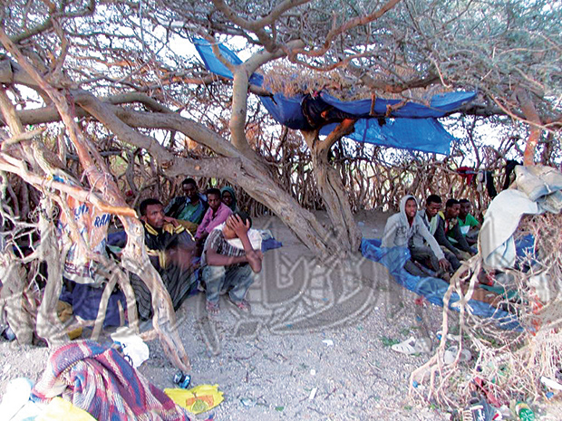 أحواش مهربين في منطقة تقع غرب “كهبوب” القريبة من باب المندب أحواش مهربين في منطقة تقع غرب “كهبوب” القريبة من باب المندب