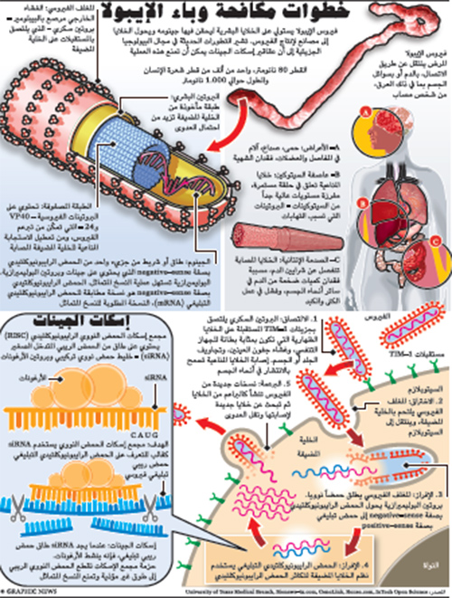 الايبولا الايبولا