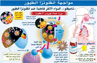 انفلونزا الطيور انفلونزا الطيور