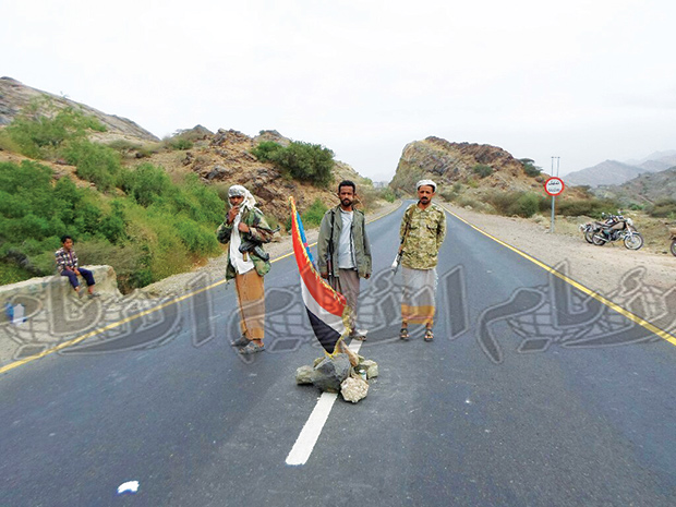 اللجان الشعبية الجنوبية