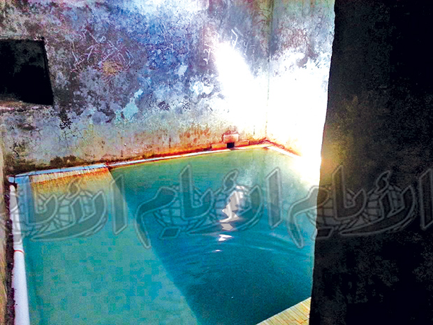 المسبح المسبح