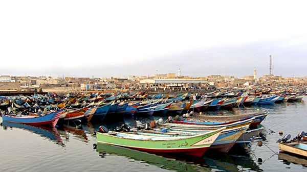  صيادي الأسماك في الشحر