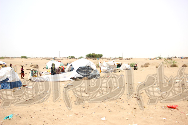 مخيم النازحين في الفيوش مخيم النازحين في الفيوش