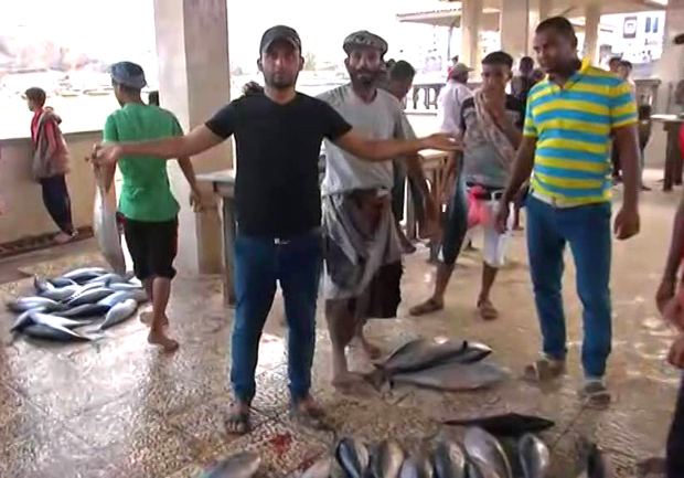 حرج سوق السمك بصيرة حرج سوق السمك بصيرة