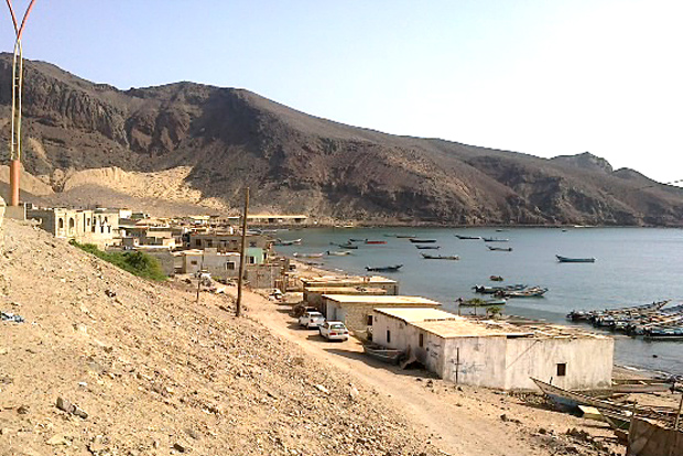 ساحل فقم 