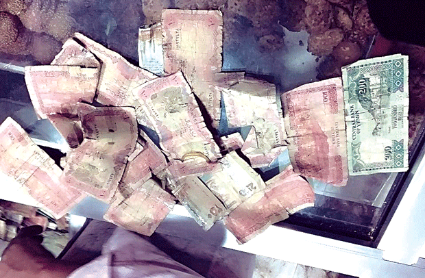 اوراق نقدية تالفة
