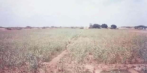 أرض زراعية أرض زراعية