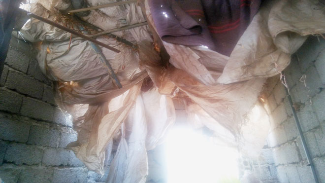 سقف المطبخ سقف المطبخ