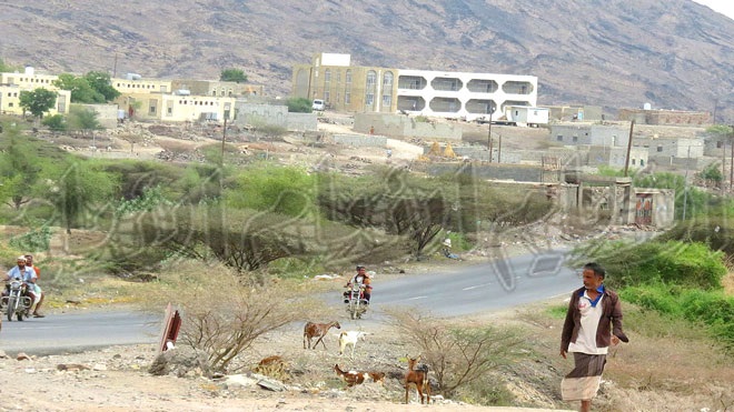 صورة لكرش صورة لكرش