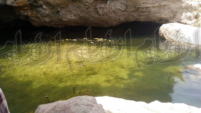 صورة من البركة صورة من البركة