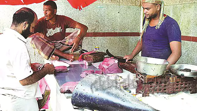 حراج السمك في صيرة حراج السمك في صيرة