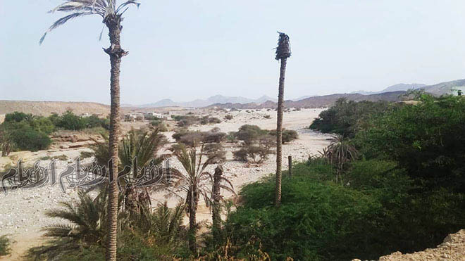 - تعرضنا لتجاهل كبير من قبل الجهات المختصة بالجانب الزراعي - تعرضنا لتجاهل كبير من قبل الجهات المختصة بالجانب الزراعي