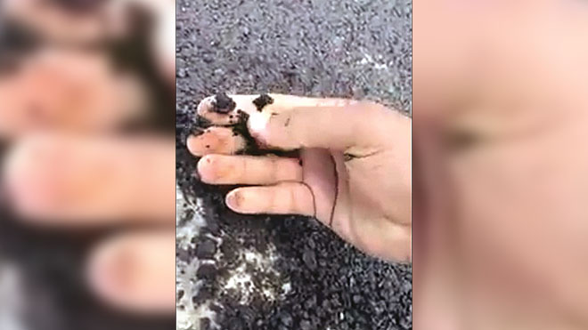 رداءة في تنفيذ الطريق الوحيد رداءة في تنفيذ الطريق الوحيد