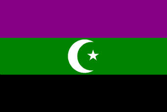 نموذج اخر من علم سلطنة الفضلي
