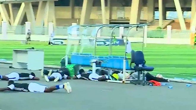سربٌ من النحل يهاجم اللاعبين في مباراة كأس تنزانيا سربٌ من النحل يهاجم اللاعبين في مباراة كأس تنزانيا