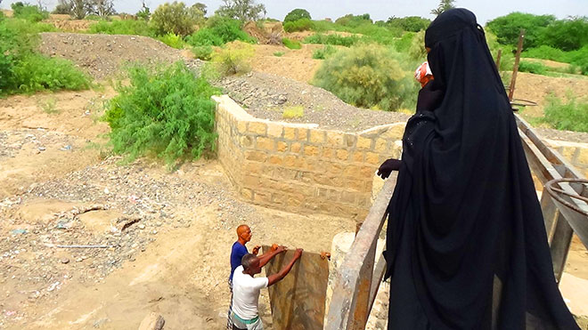 أروى نابت أول رئيسة لجمعية زراعية على مستوى الوطن أروى نابت أول رئيسة لجمعية زراعية على مستوى الوطن