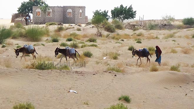 استخدام الحمير في جلب المياه بعد تعطل البئر في القرية استخدام الحمير في جلب المياه بعد تعطل البئر في القرية