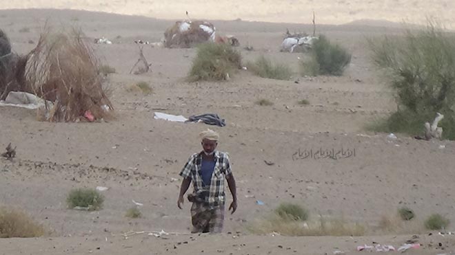 مواطنين يبحثون عن الخدمات مواطنين يبحثون عن الخدمات