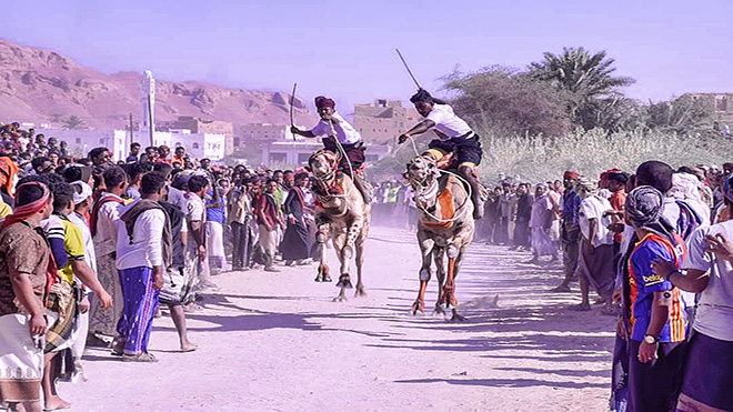 سباق الهجن والشعبانية من عوالق موروث تريم