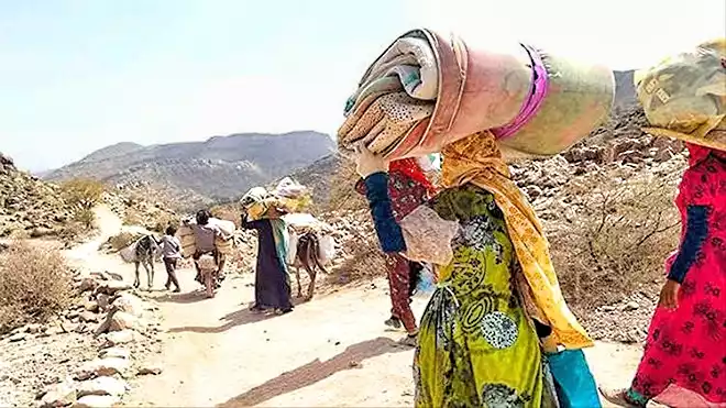 الهجرة الدولية: نزوح 291 أسرة خلال ديسمبر