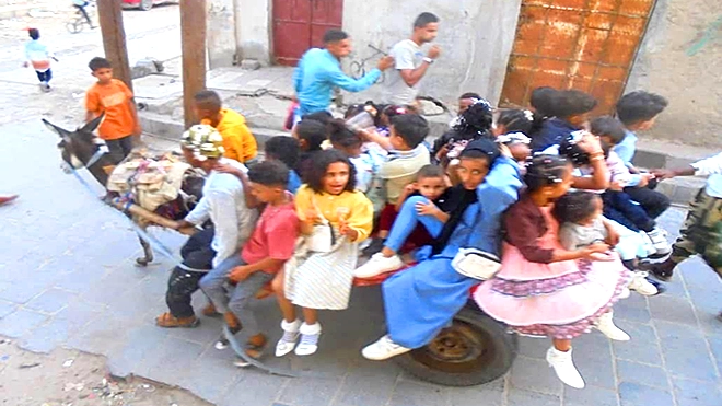 لحج.. الخيول والحمير وسيلة فريدة في العيد لترفيه الأطفال