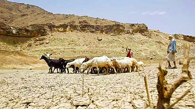 تحذير أممي من جفاف «غير معتاد» باليمن وموجات حر في عدن ولحج