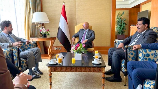 طارق صالح يبحث مع القائم بالأعمال الأمريكي جهود مواجهة تهريب السلاح