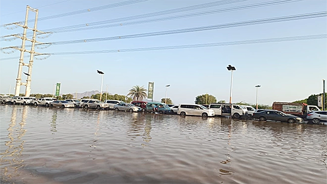 عدن