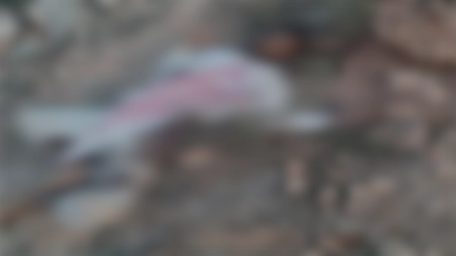 مصرع قيادي بارز في القاعدة برصاص مسلحين بالمهرة