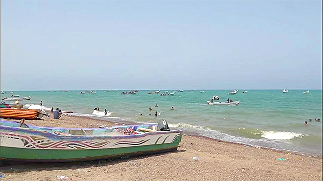 تقرير حديث يرصد أوضاع الهيئة العامة للمصائد السمكية فرع لحج
