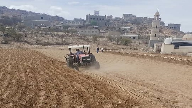موسم استصلاح الأراضي الزراعية لبذر الذرة البيضاء بيافع