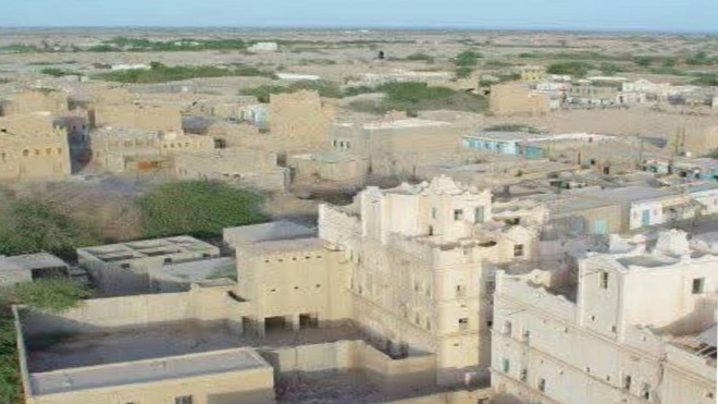 أبين..انهيار حاد في أسعار النحل والمواشي بأحور