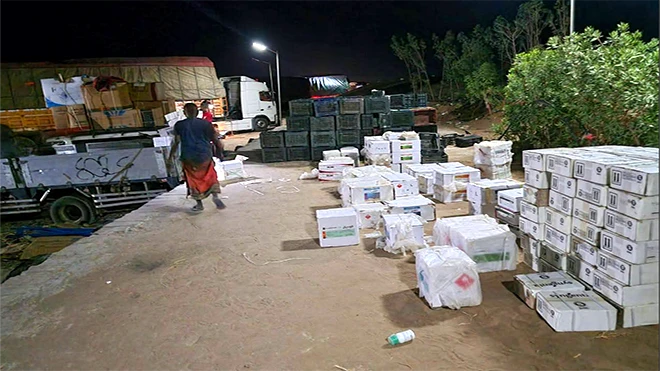 لحج.. ضبط مبيدات حشرية تالفة