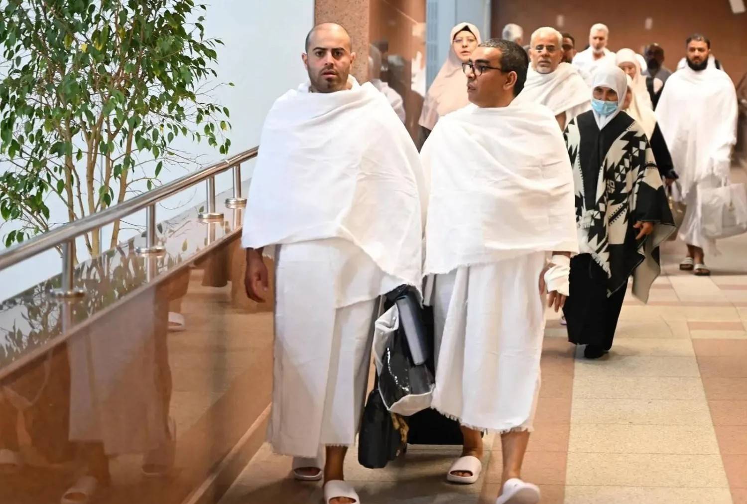 عدد المعتمرين القادمين من الخارج بلغ 5 ملايين و769 ألفاً و271 معتمراً ومعتمرة عدد المعتمرين القادمين من الخارج بلغ 5 ملايين و769 ألفاً و271 معتمراً ومعتمرة