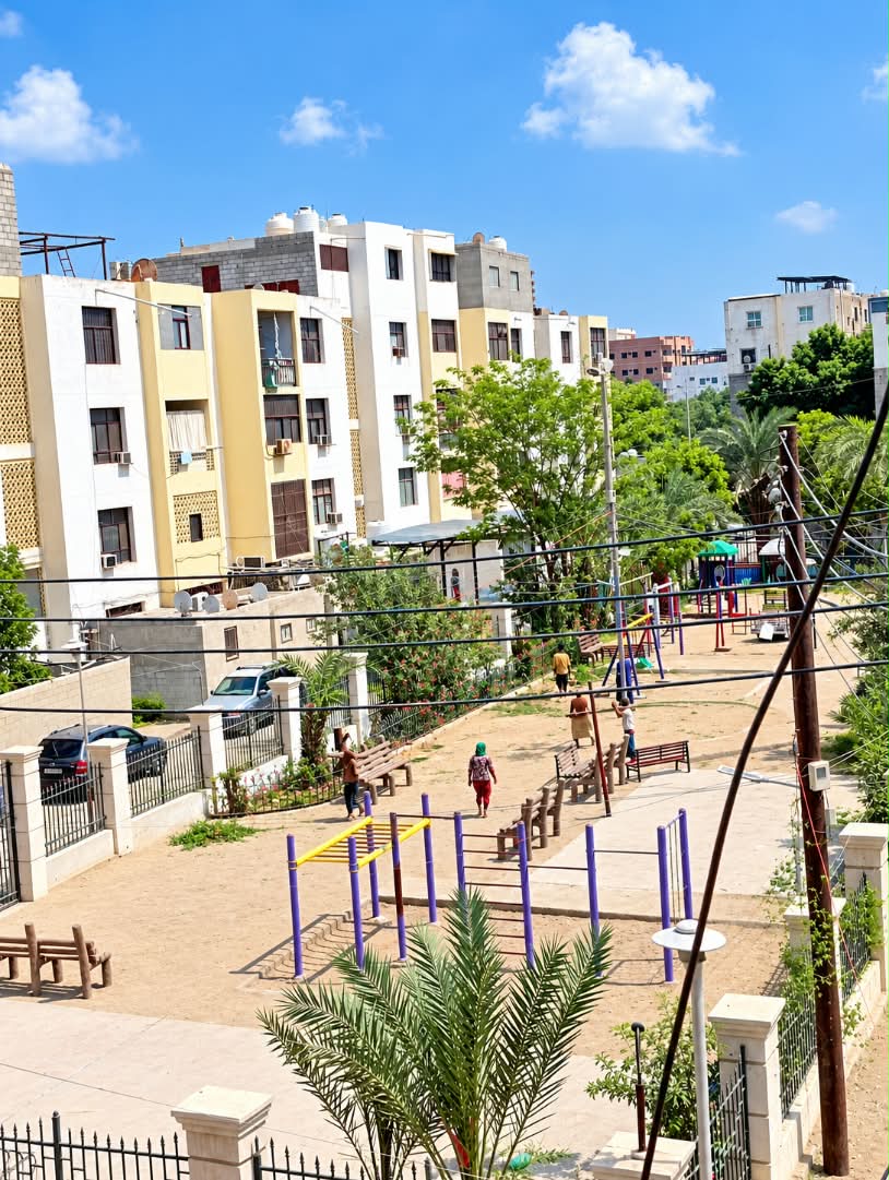 أثناء قيام العمال بإخراج جذوع الأشجار من الحديقة